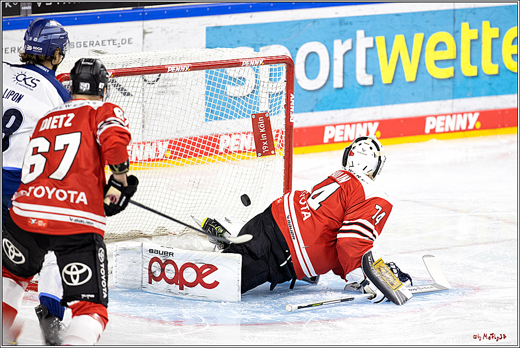 PENNY DEL;  Kölner Haie - Straubing Tigers; Köln, 09.10.2022